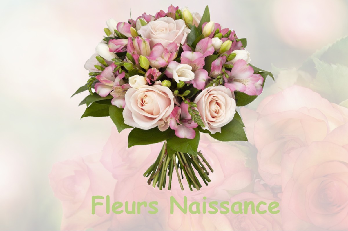 fleurs naissance SAMOUILLAN