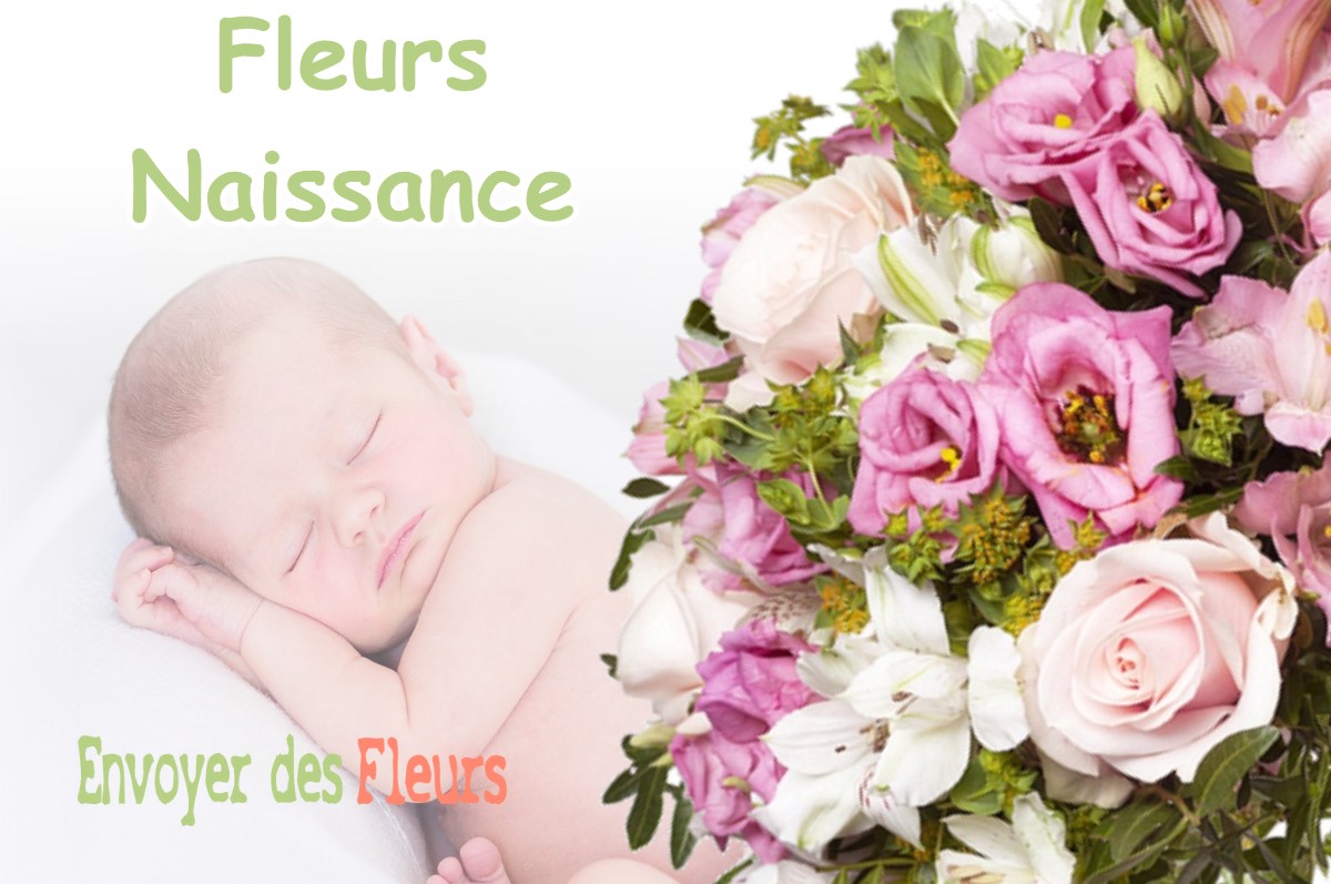 lIVRAISON FLEURS NAISSANCE à SAMOUILLAN